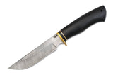 Medved, Prospector , Hunting, Fixed, Damascus, Hornbeam